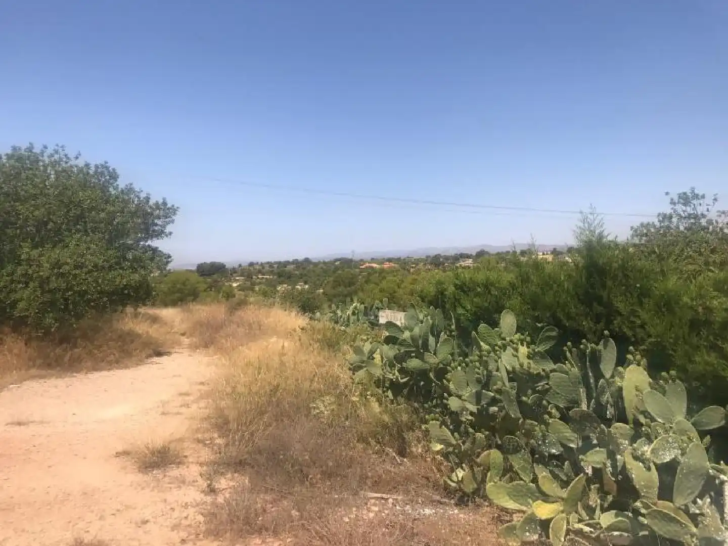 Lands and plots for sale in Pla dels Aljubs, imagen 5