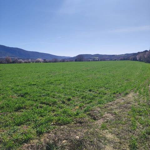 Terreno residencial en Venta en El Grado