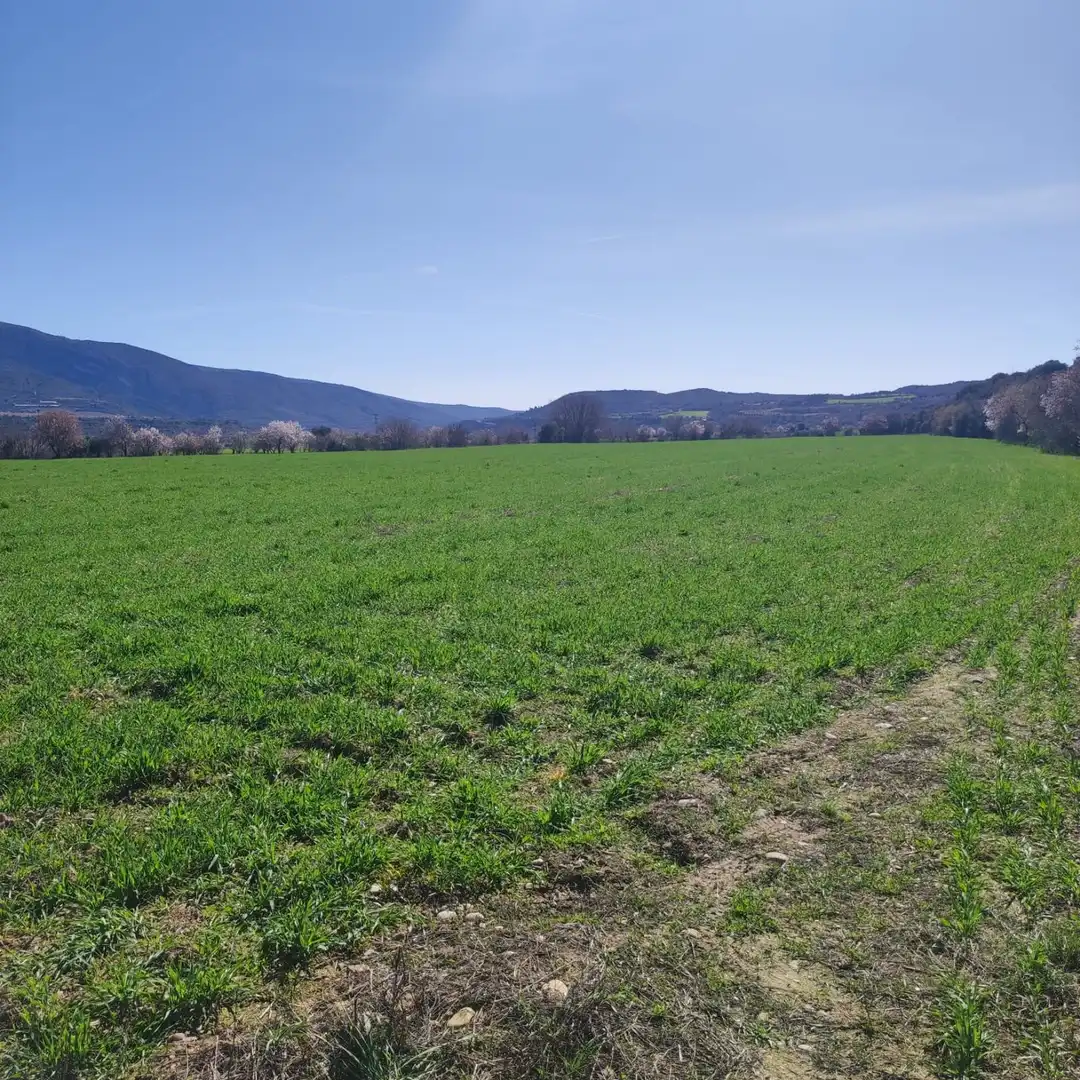 Terreni e lotti in vendita a El Grado
