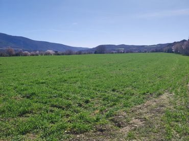 Grundstücke und Bauplätze zum Verkauf in El Grado