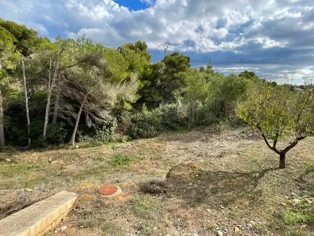 Terreno residencial en venta en La Fustera, imagen 2