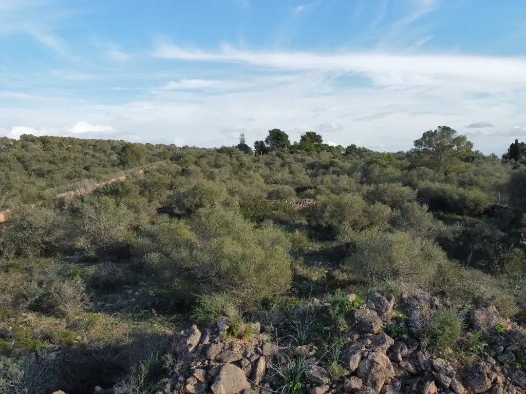 Terreny rústic en venda a Sa Cabaneta, imagen 18