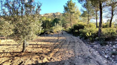 Foto 2 von Grundstücke zum Verkauf in Partida Macaroves, Relleu, Alicante
