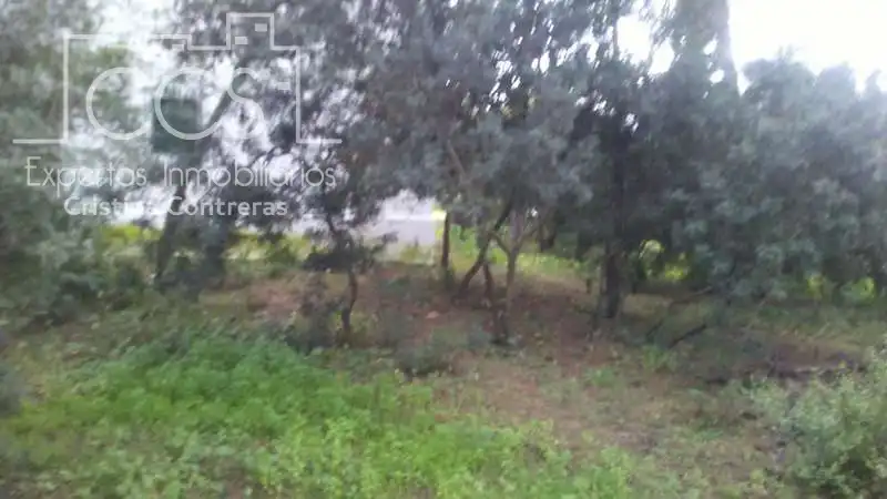 Casa rústica en venda a Almonte ciudad, imagen 13