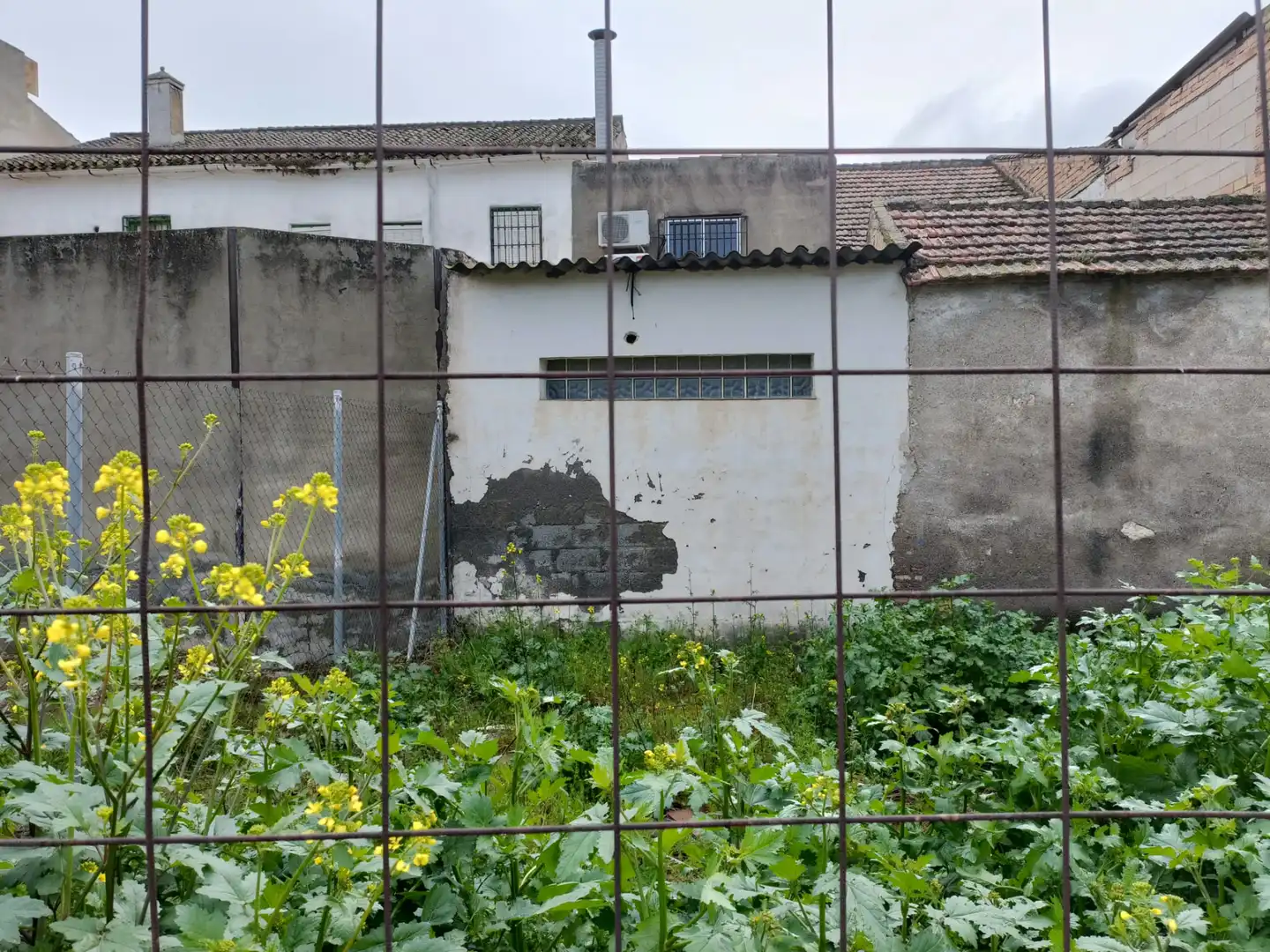 Exterior view of Commercial properties for rent in Chauchina
