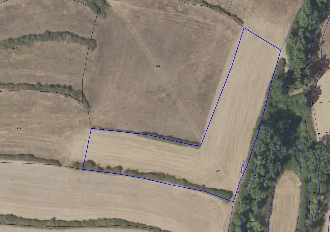 Terrain rustique à vendre à Clavijo