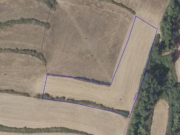 Terrain rustique à vendre à Clavijo