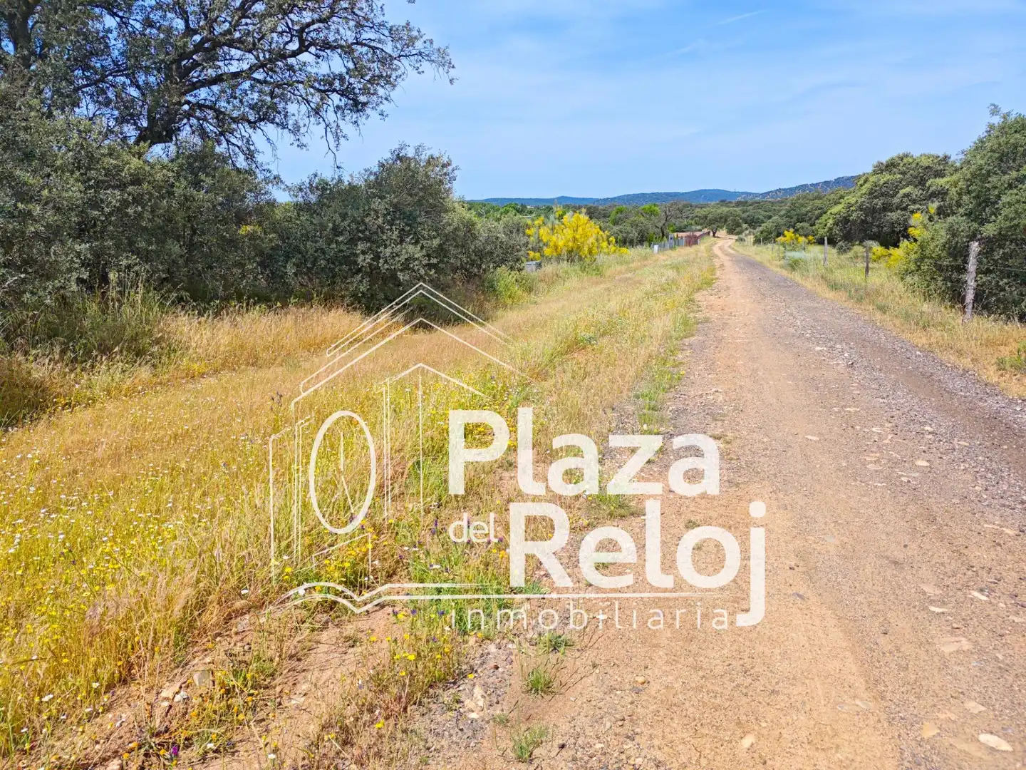 Terreno residenziale in vendita a Urbanizacion Serr Playa Duples 483, imagen 11