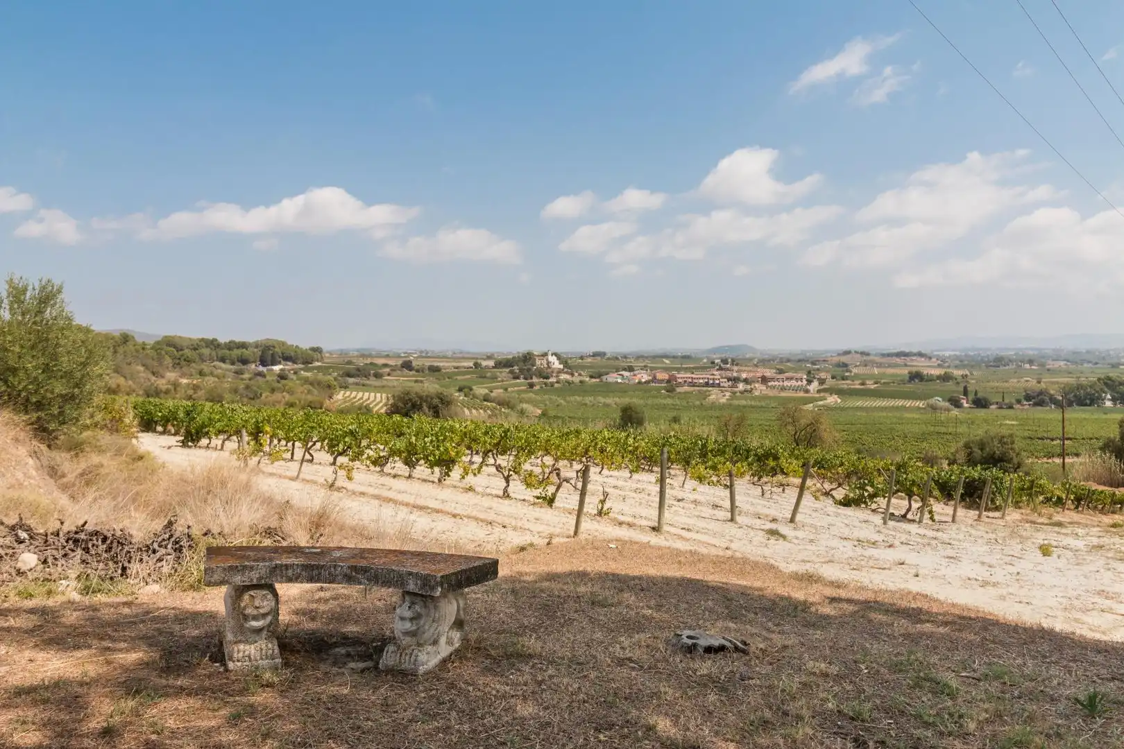 Finca rústica en venda en Castellet i la Gornal amb Calefacció, Jardí privat i Terrassa