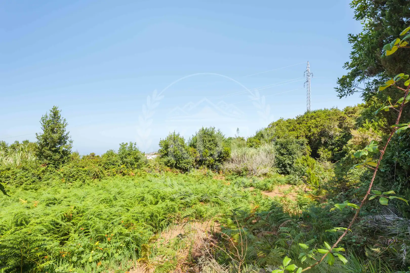 Chalet con jardín en venta en N/A, imagen 26