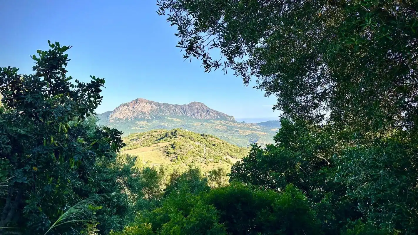 Vista exterior de Terreny industrial en venda en Gaucín