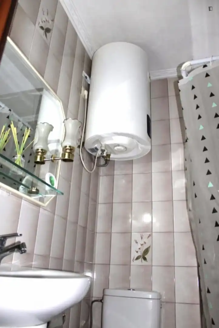 Bathroom of Apartments for share in Barakaldo   with Furnished, Oven and Washing machine