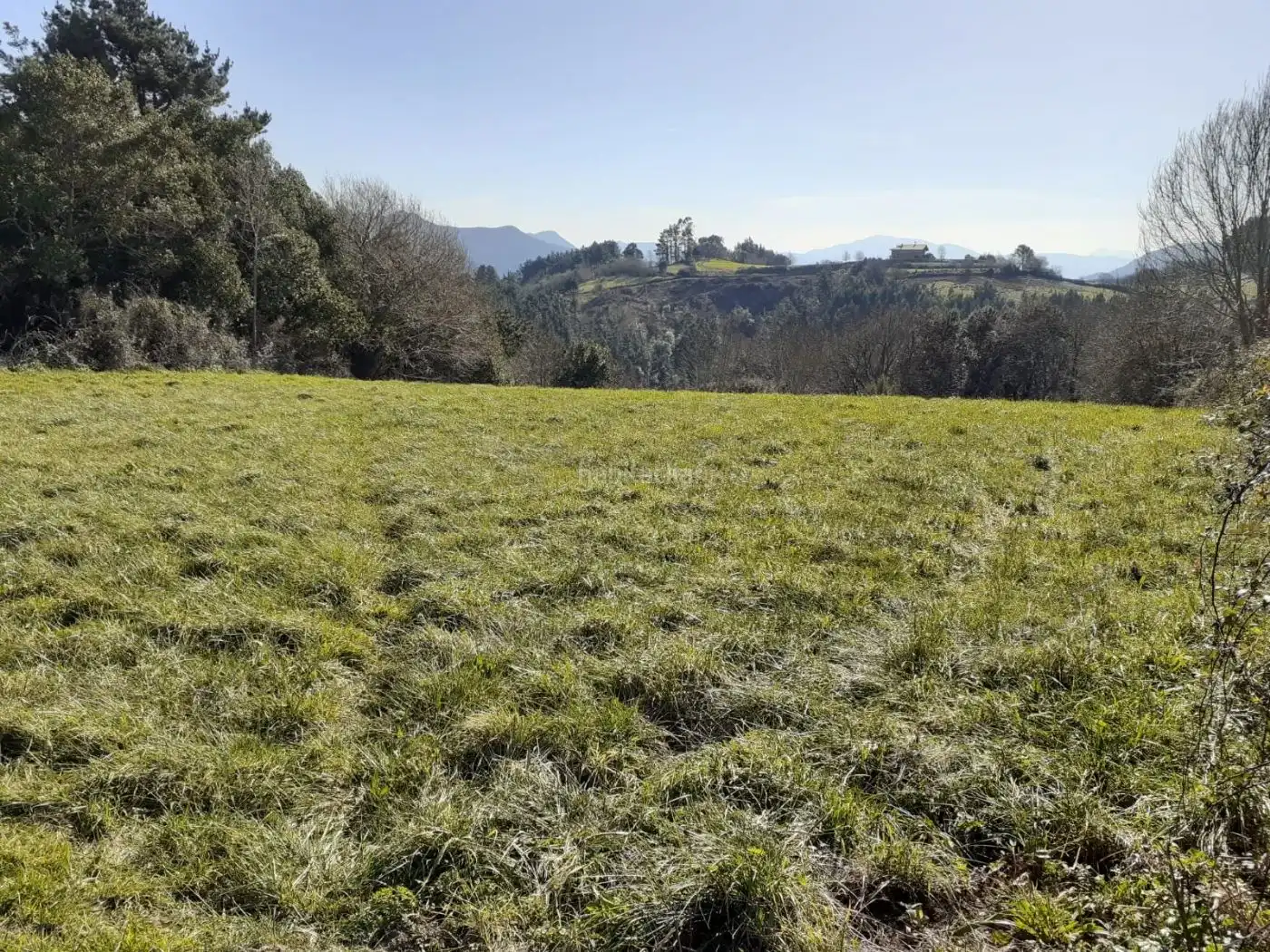 Rural land for sale in Goitiz Bidea 3