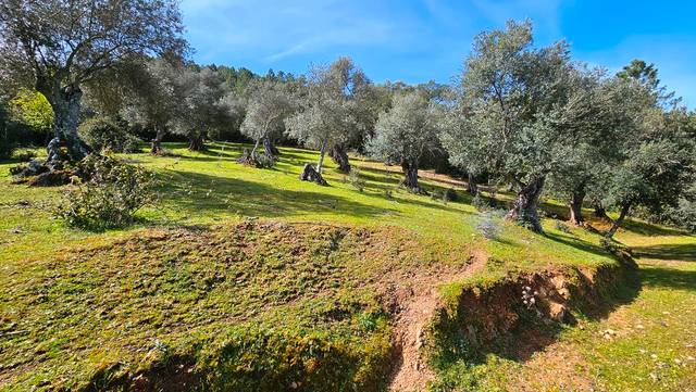 Terreno en Venta en Galaroza