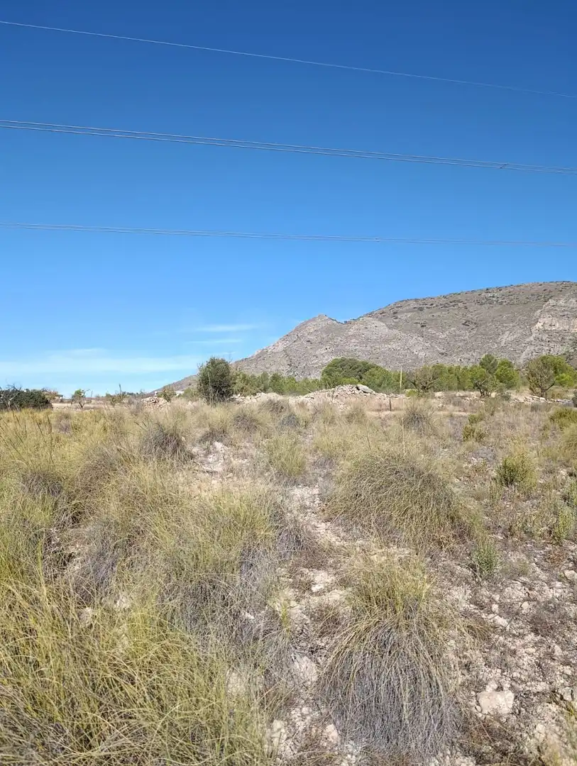 Terreno rustico in vendita a Hondón de las Nieves / El Fondó de les Neus, imagen 15