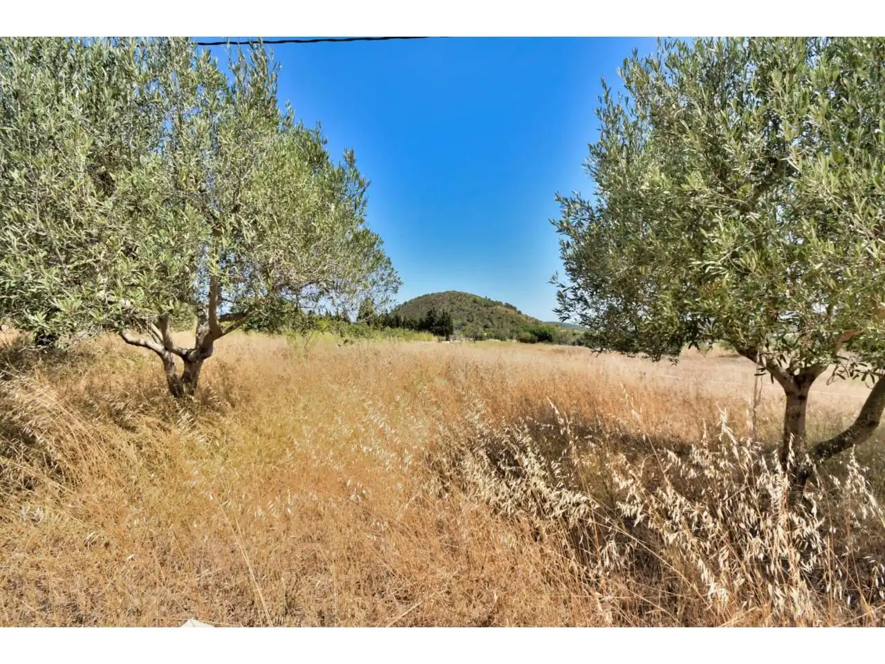 Finca rústica en venda en Son Servera amb Jardí privat i Terrassa