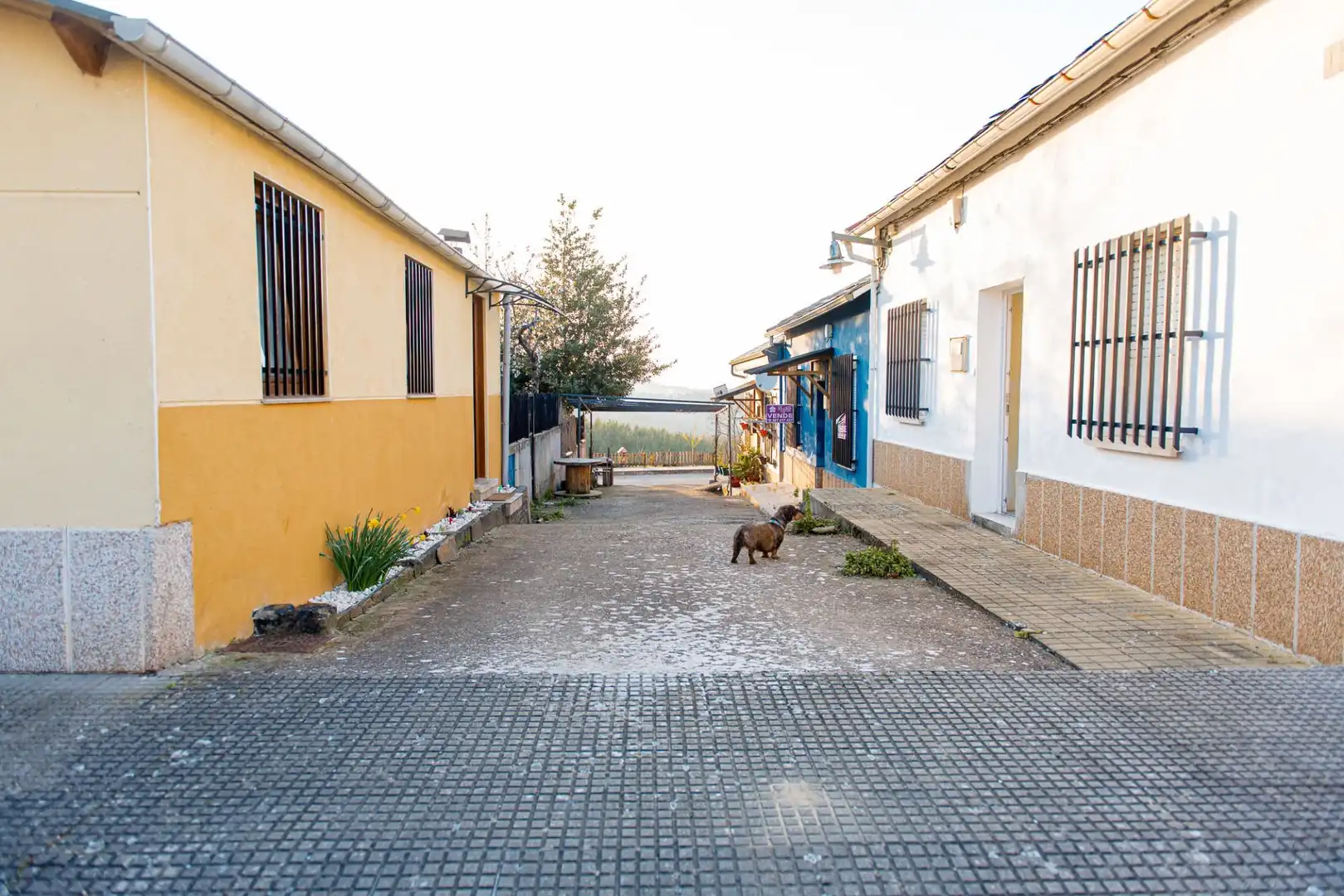 Exterior view of Houses for sale in Molinaseca  with Private garden and Furnished