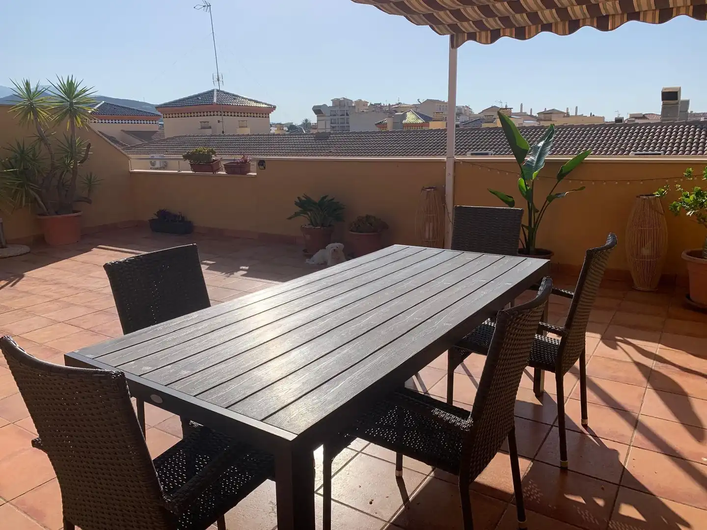 Appartamento con terrazza in affitto a ANDALUCIA, imagen 3