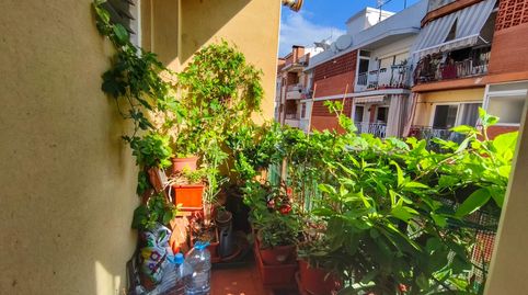 Foto 5 de Piso en venta en El Molí - El Rieral, Lloret de Mar