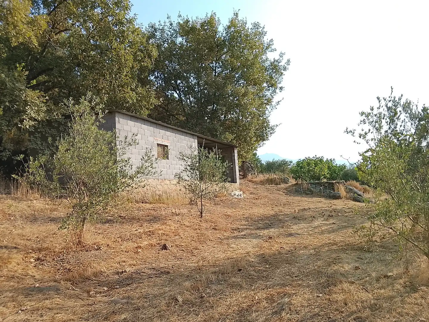 Terreny en venda en Madrigal de la Vera