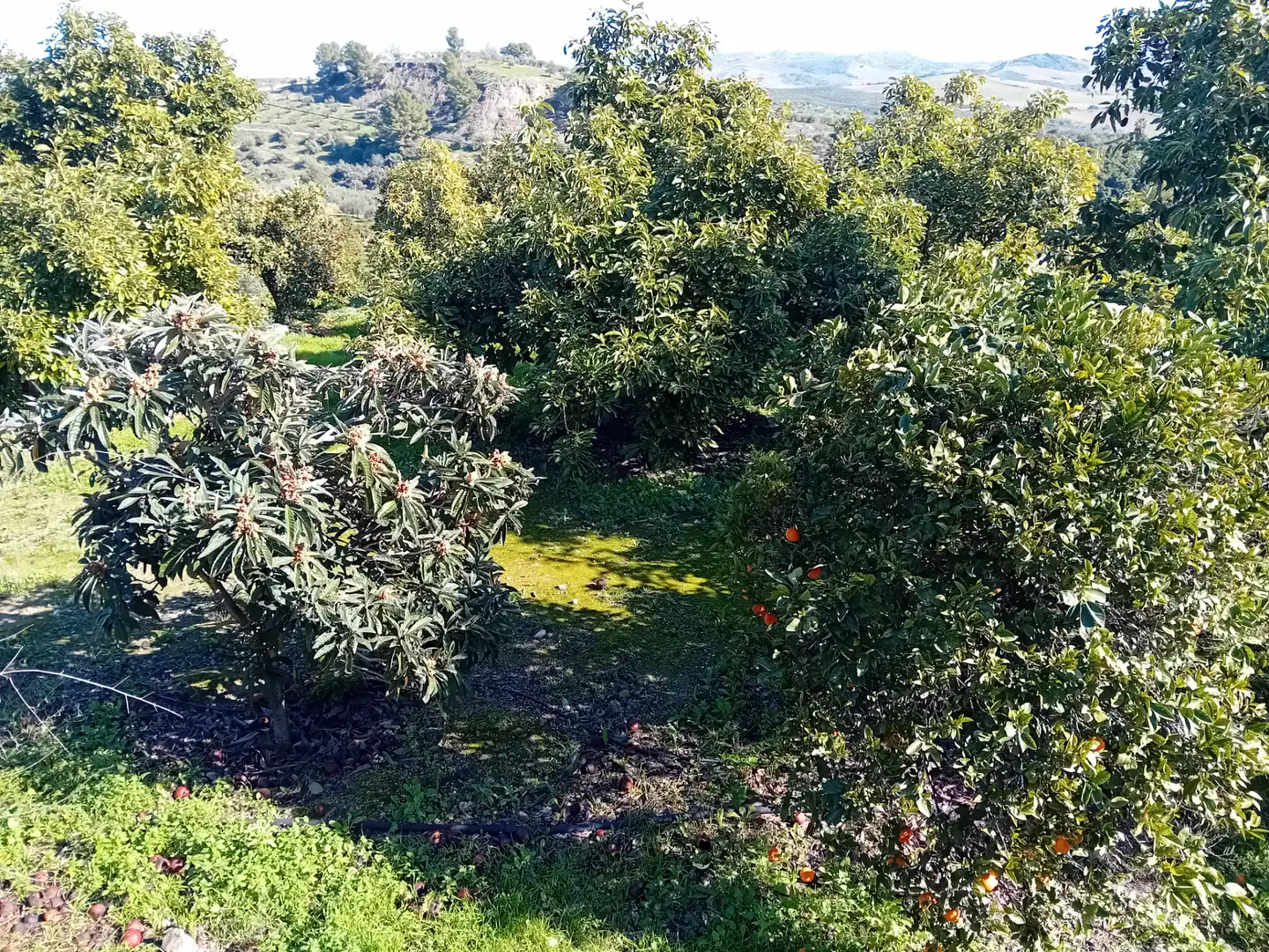 Villa mit Terrasse zum Verkauf in Urbanizacion la Pasadilla, imagen 42