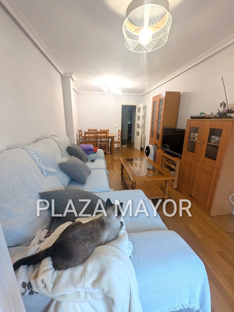 Sala de estar de Piso en venta en Villares de la Reina con Calefacción, Parquet y Amueblado