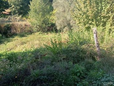 Rustikales Grundstück zum Verkauf in Amoeiro