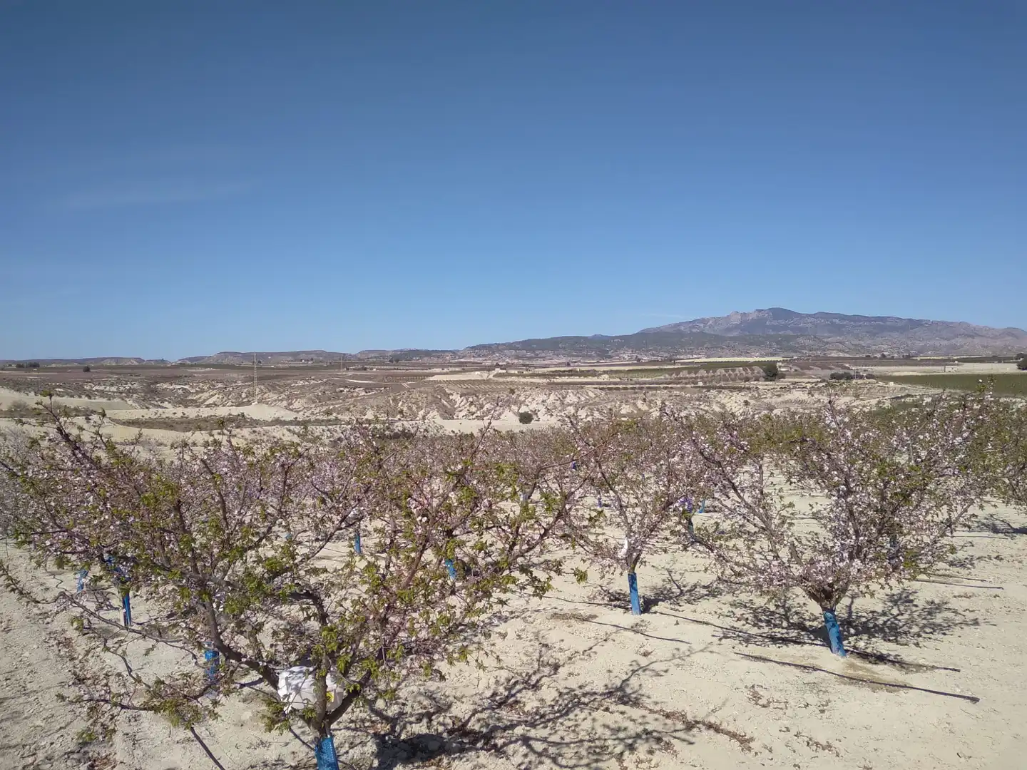 Terreni e lotti in vendita a Campos del Río, imagen 15