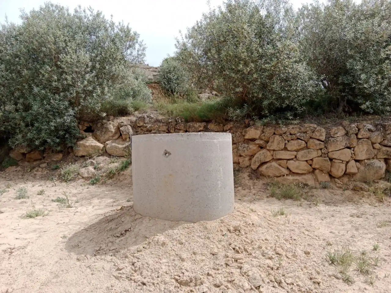 Terreni e lotti in vendita a Tamarite de Litera, imagen 3