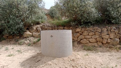FINCA EN VENTA EN TAMARITE DE LITERA, imatge 3