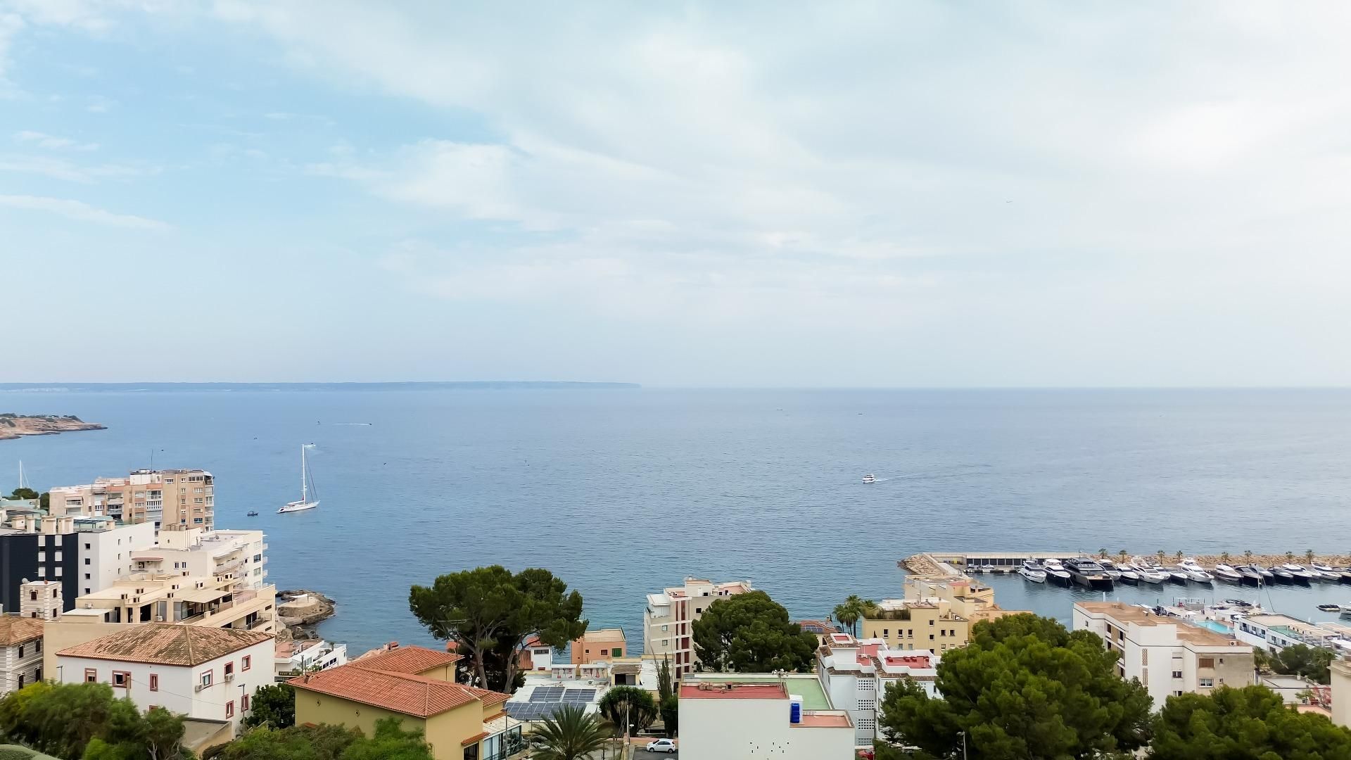 Vista exterior de Planta baixa en venda en  Palma de Mallorca amb Aire condicionat, Calefacció i Jardí privat
