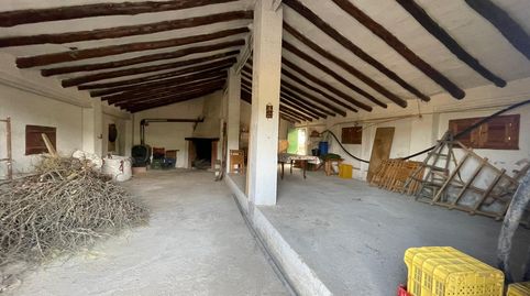 Se vende finca de 6.000 m² con olivares en producción, ideal para quienes buscan un entorno rural con posibilidades agrícolas y ha, imatge 3