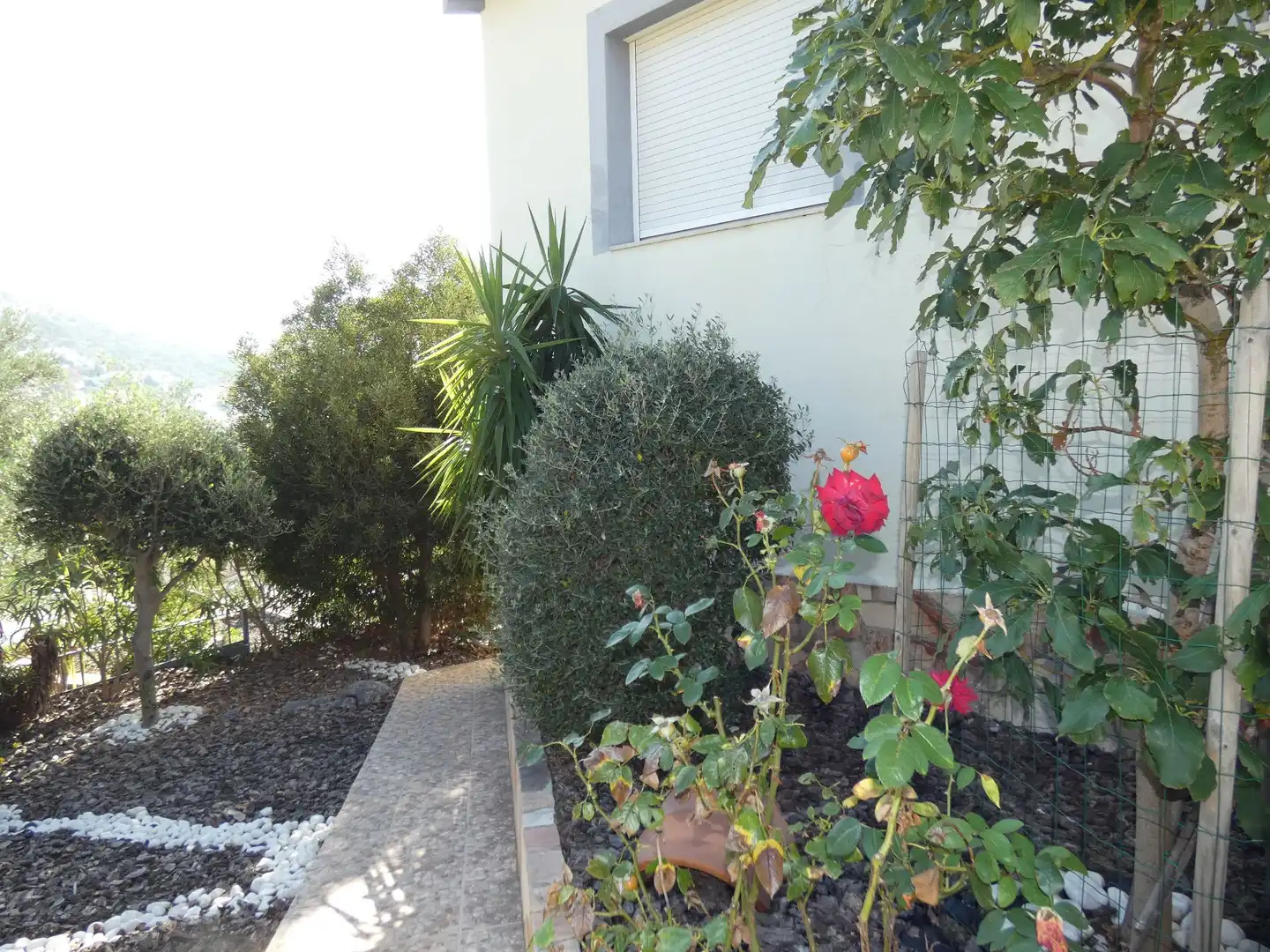 Haus mit Pool zum Verkauf in CANARIES, imagen 56