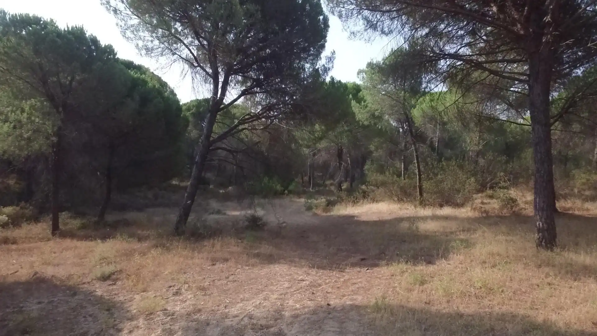 Terreno en venta en Villablanca