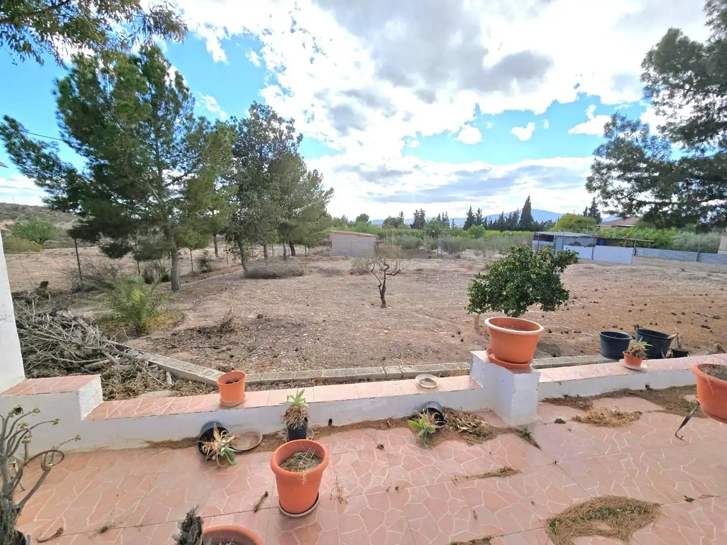 Jardín de Casa o chalet en venta en Molina de Segura con Aire acondicionado, Calefacción y Jardín privado