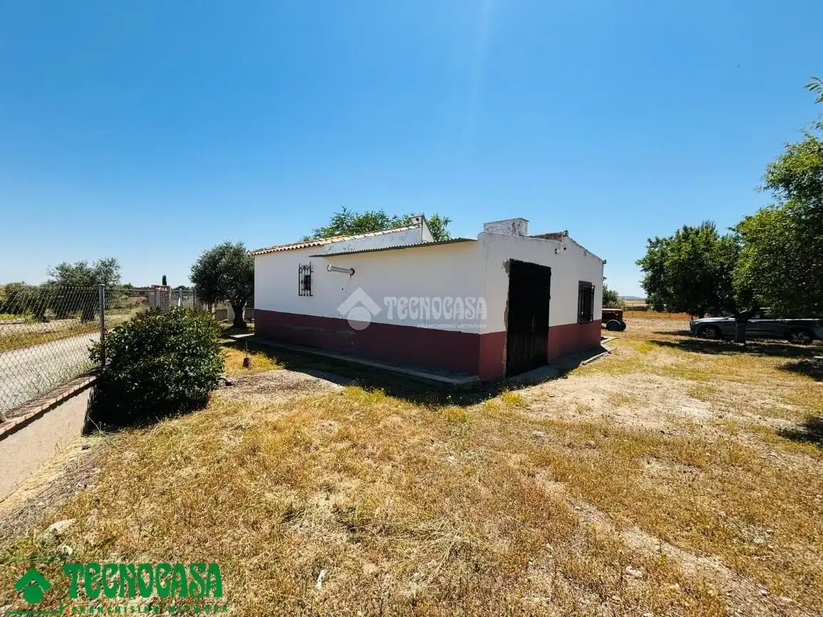 Land for sale in Mascaraque
