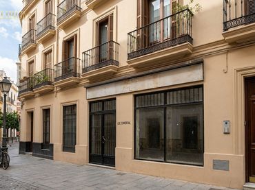 Sonstige zum Verkauf in Casco Antiguo