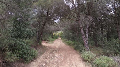 Foto 5 de Terreno en venta en Can Poi del Bosc, Can Violí - Can Poi del Bosc, La Garriga