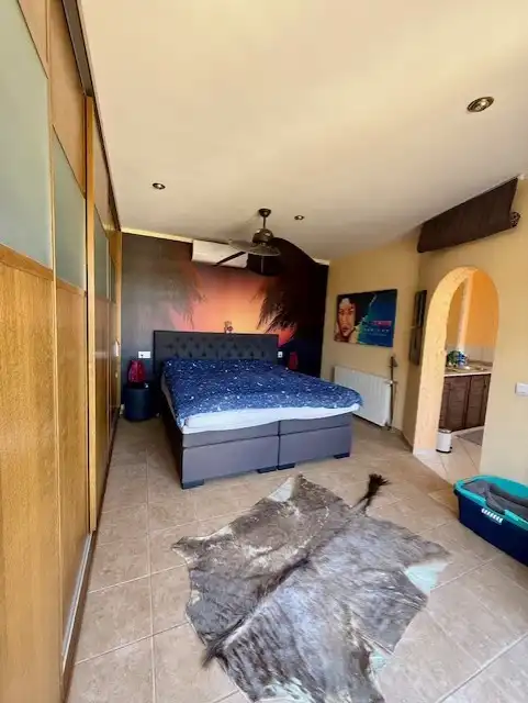 Casa o chalet en venta en Playa Flamenca