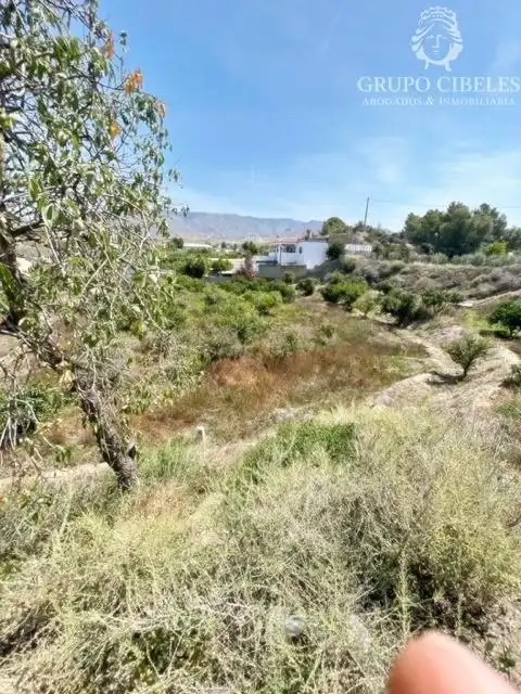 Finca rústica en venta en Pechina