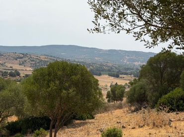 Maison rustique à vendre à San Martín del Tesorillo
