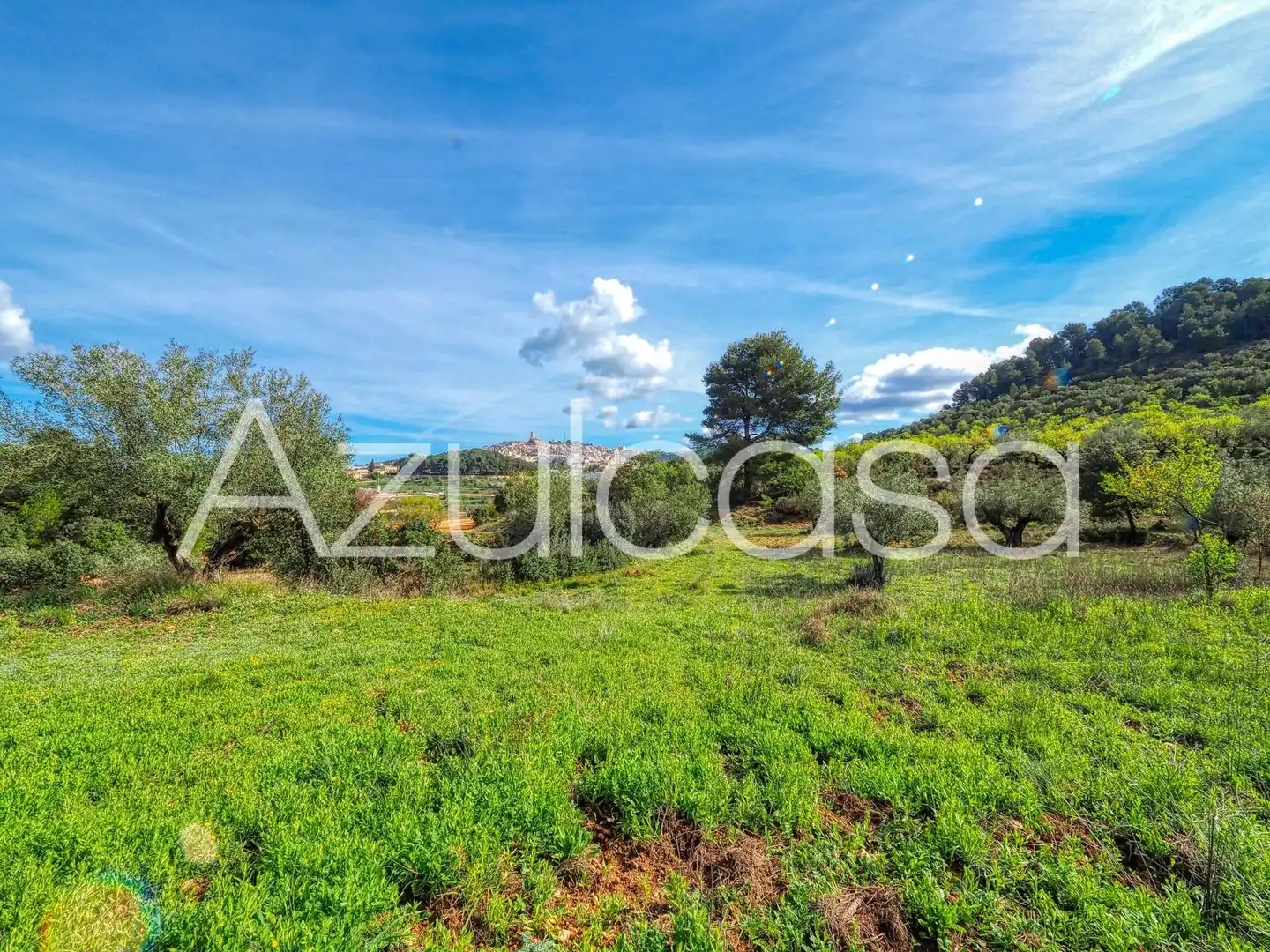 Country homes for sale in Banyeres de Mariola