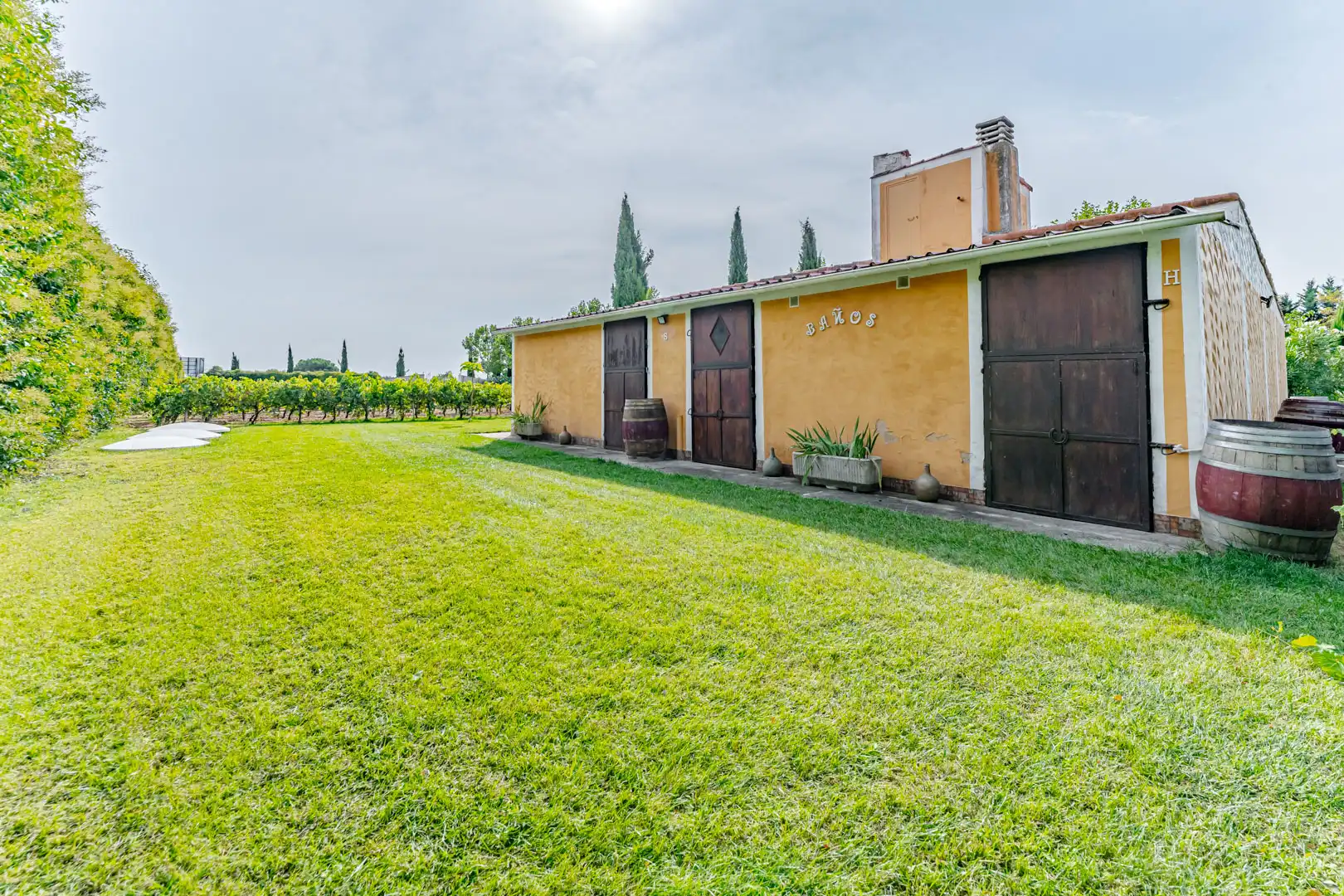 Vista exterior de Finca rústica en venta en Laguna de Duero con Aire acondicionado, Calefacción y Jardín privado