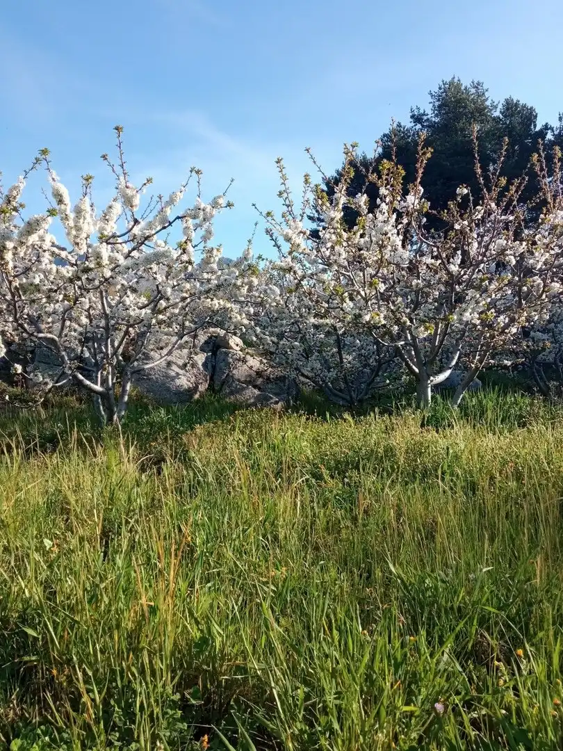 Garten von Residential zum Verkauf in El Hornillo 