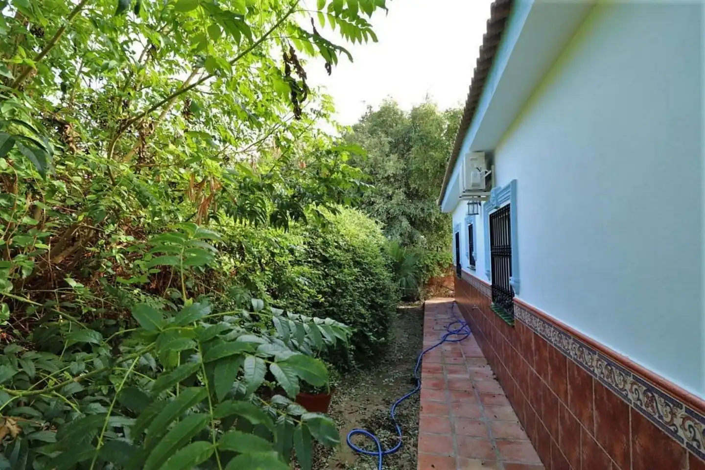 Casa o xalet de lloguer a Buenavista - Lauro Golf