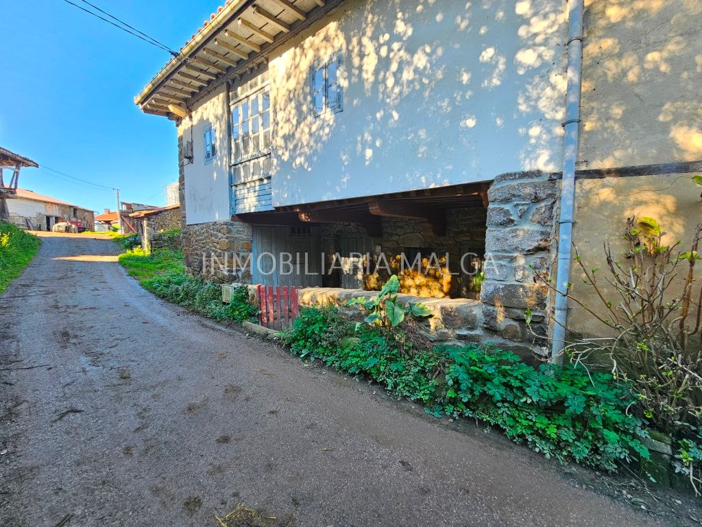Vista exterior de Casa o chalet en venta en Colunga con Jardín privado
