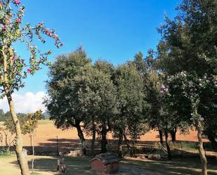 Garden of Country house for sale in Calldetenes