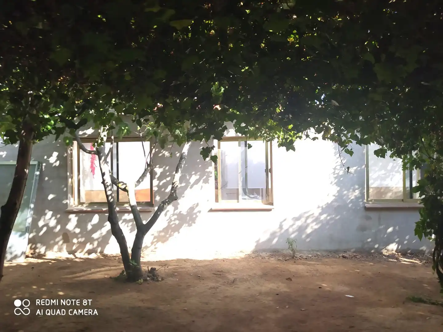 Chalet con jardín en venta en Malagón, imagen 23