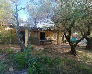 Jardí de Casa o xalet en venda en Burriana / Borriana amb Jardí privat, Terrassa i Traster