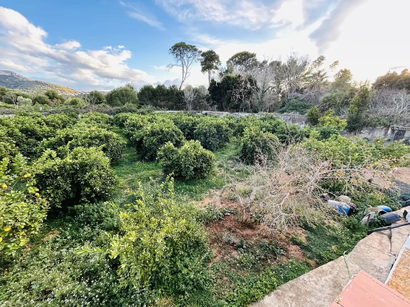 Villa mit Garten zum Verkauf in La Pedrera - Vessanes, imagen 19